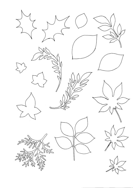 画像2: フレイムステンシルシート・リーフ (2)